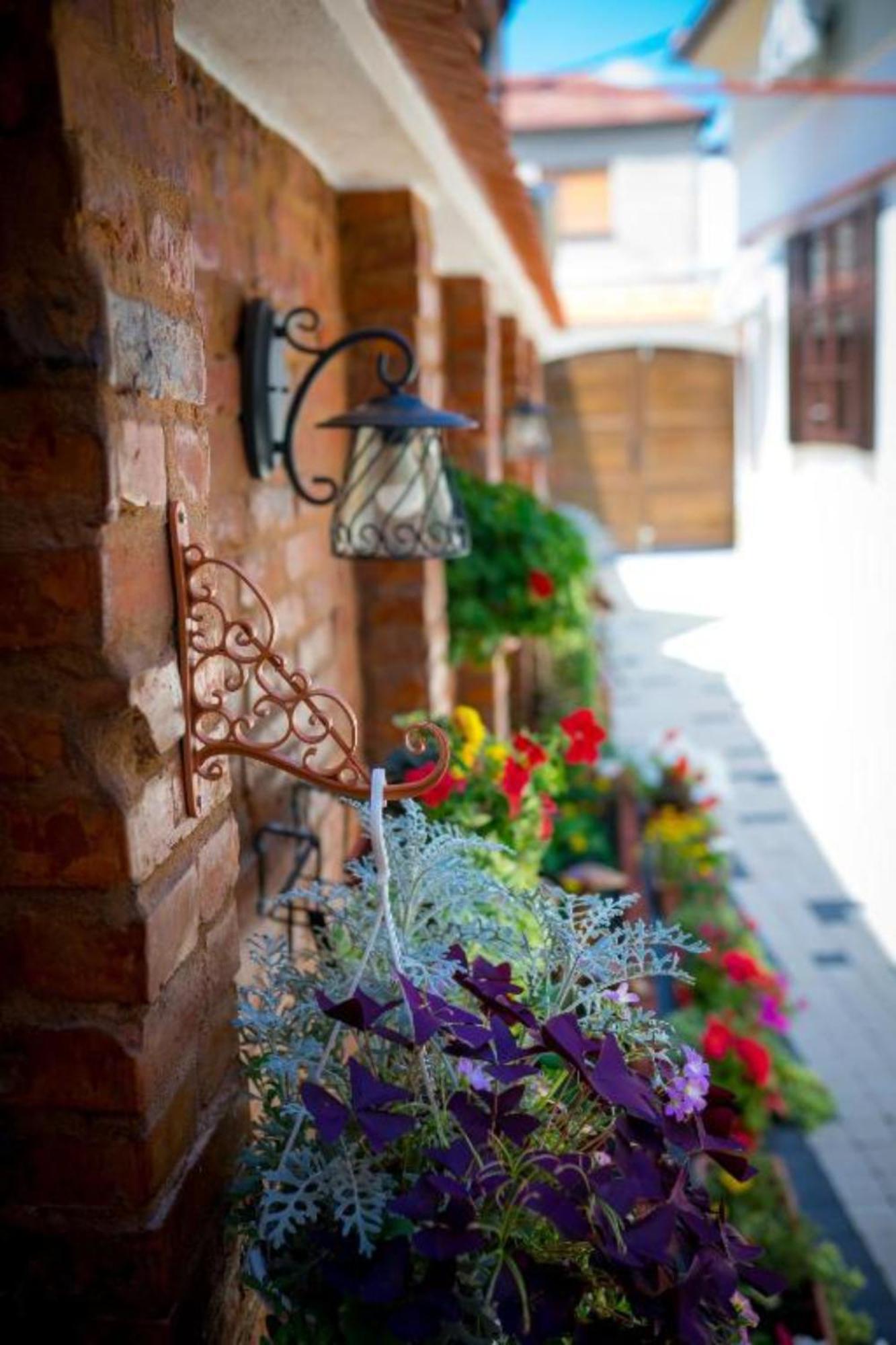 Aparthotel Cochet House Sibiu Extérieur photo
